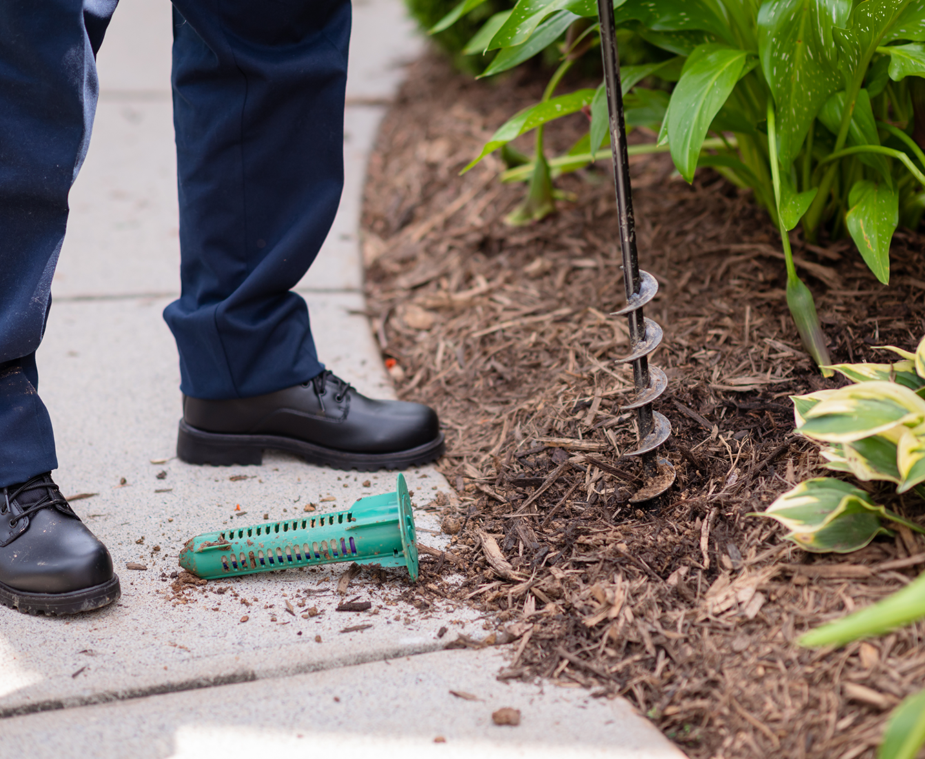 Termite exterminator drills into the ground to place our highly effective termite treatment